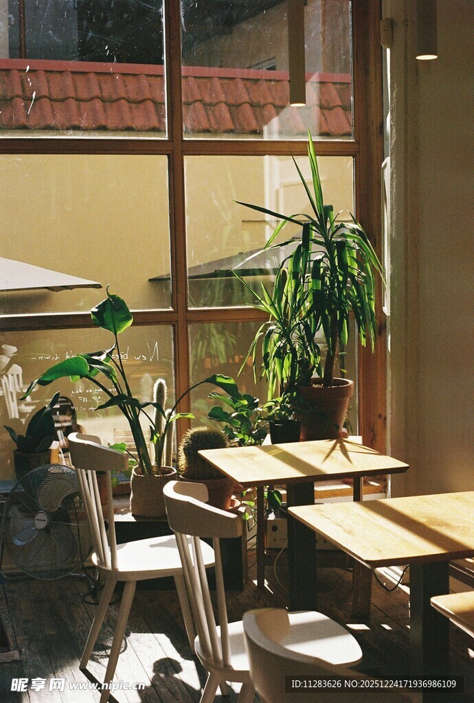 室内绿植环绕的休闲桌椅