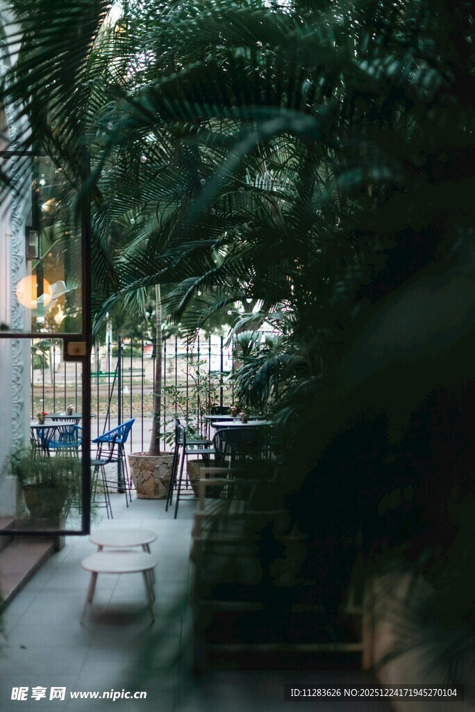 城市中静谧的绿植小巷