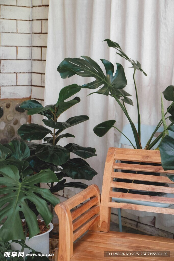木质座椅旁的绿植景观