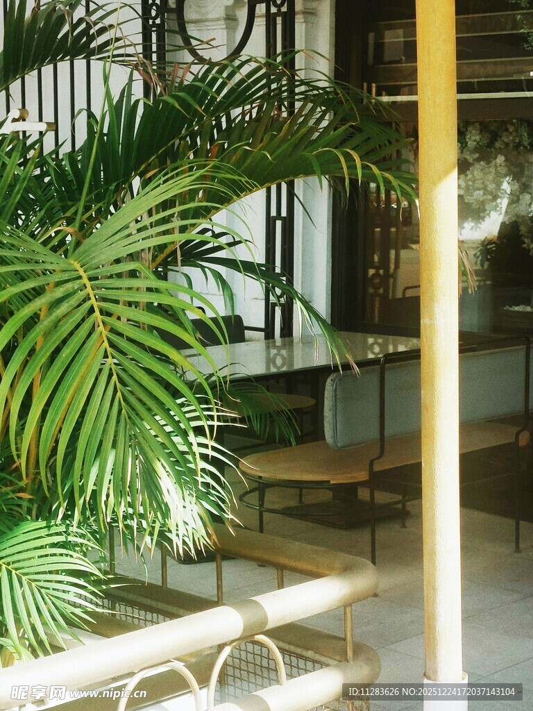 室内绿植景观一角