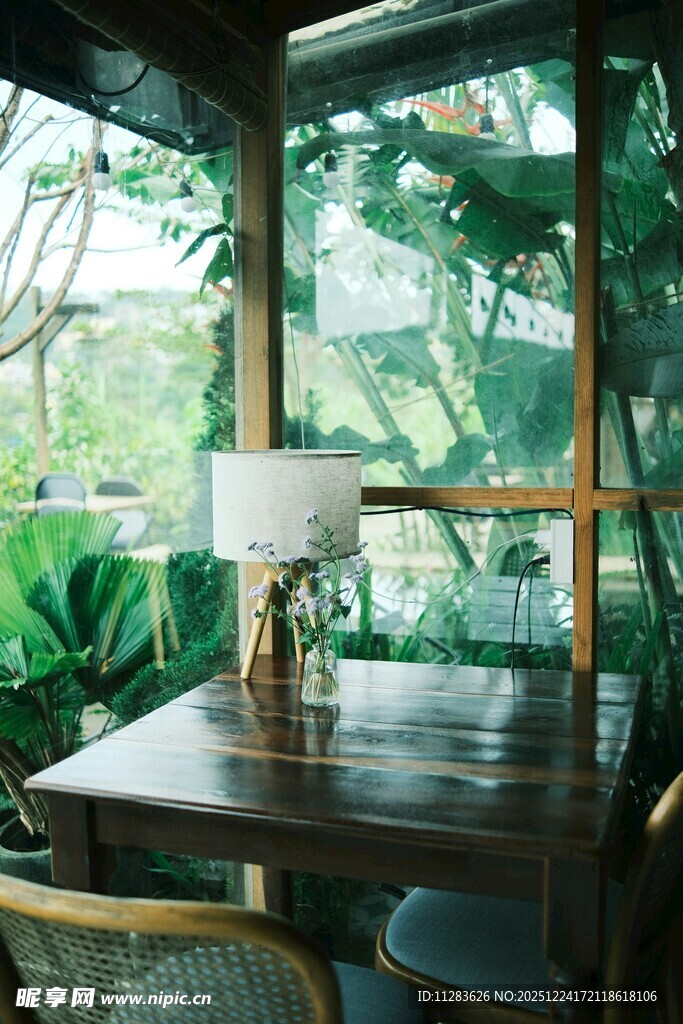 室内木质桌椅与绿植景观
