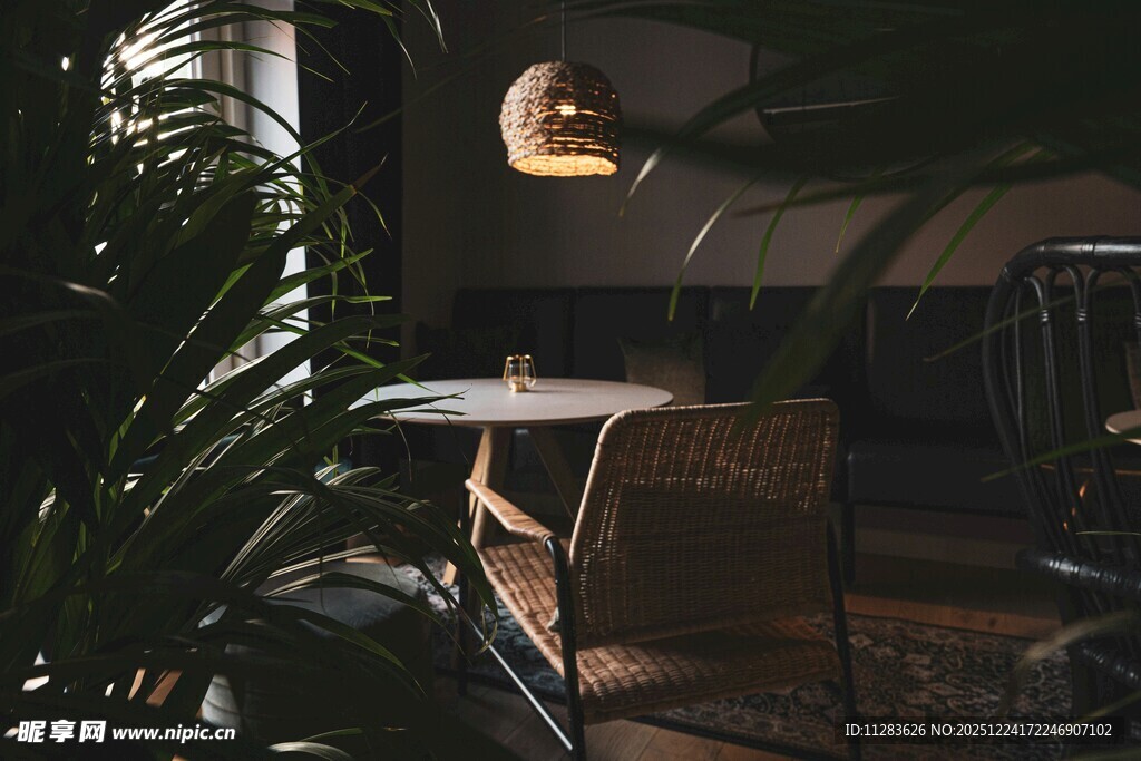 温馨室内角落绿植与桌椅
