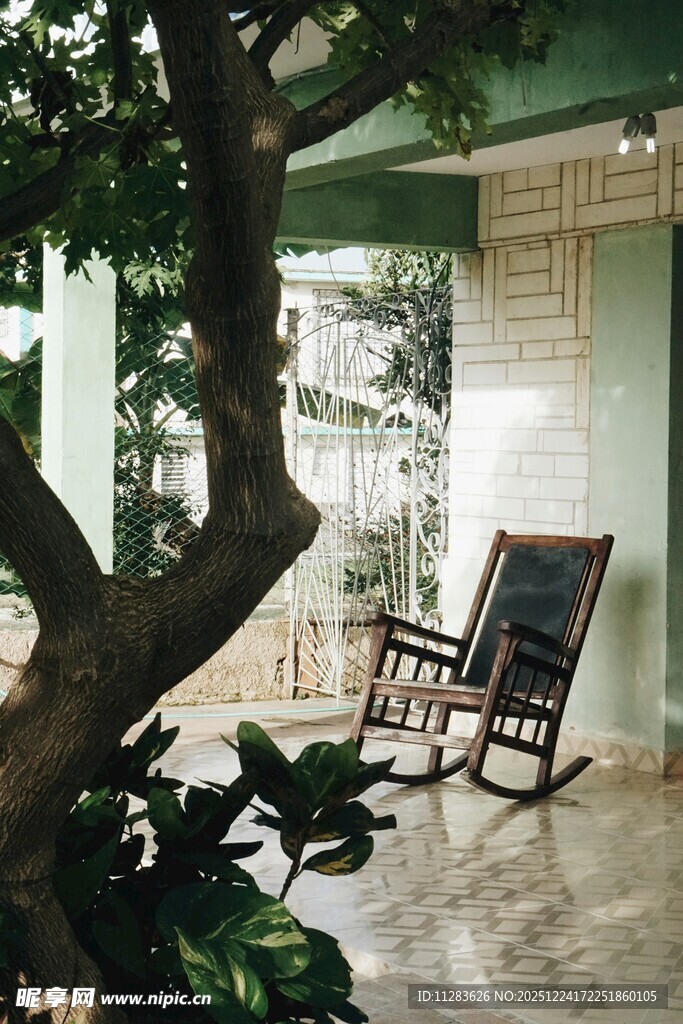 庭院摇椅旁的静谧绿植空间