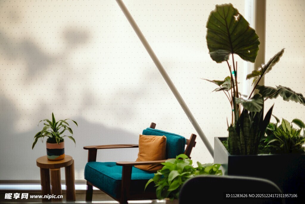 舒适室内角落的绿植与座椅