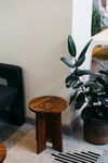 室内木质圆凳与绿植搭配