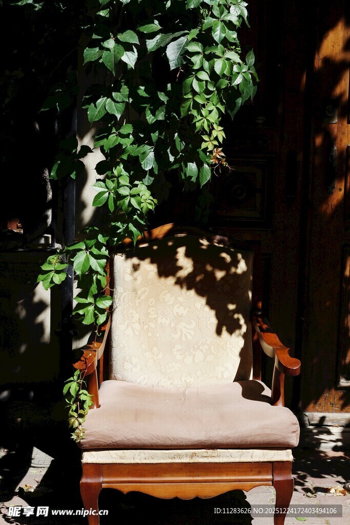 阳光下的绿植与复古座椅