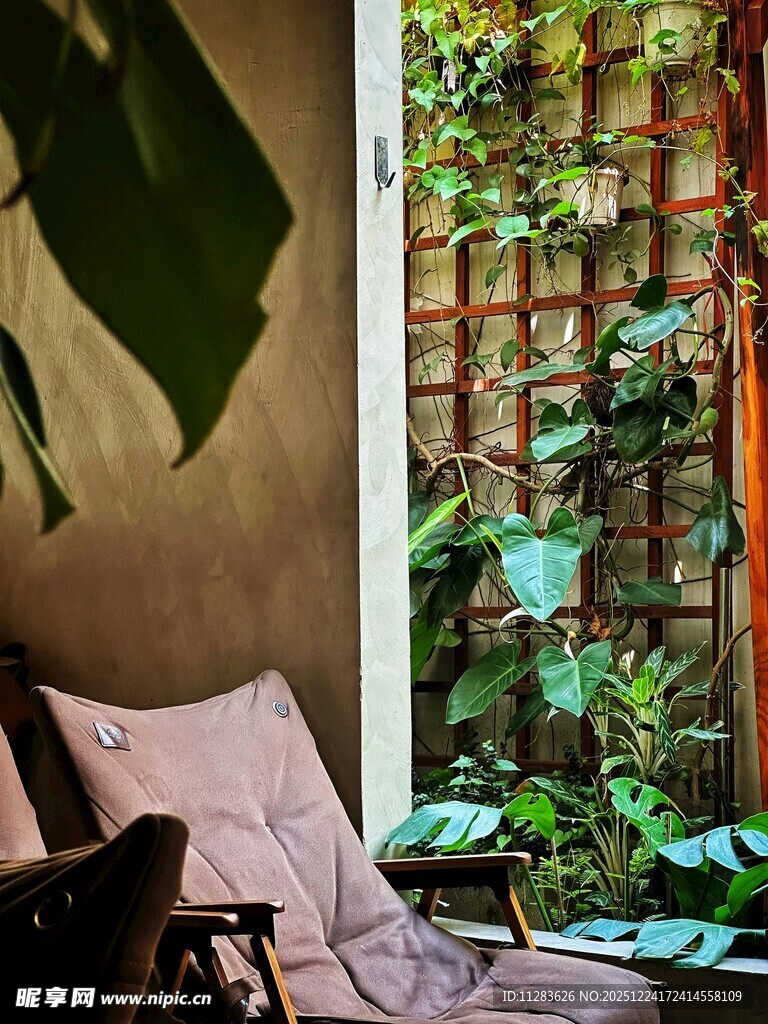 室内绿植环绕的休憩角落