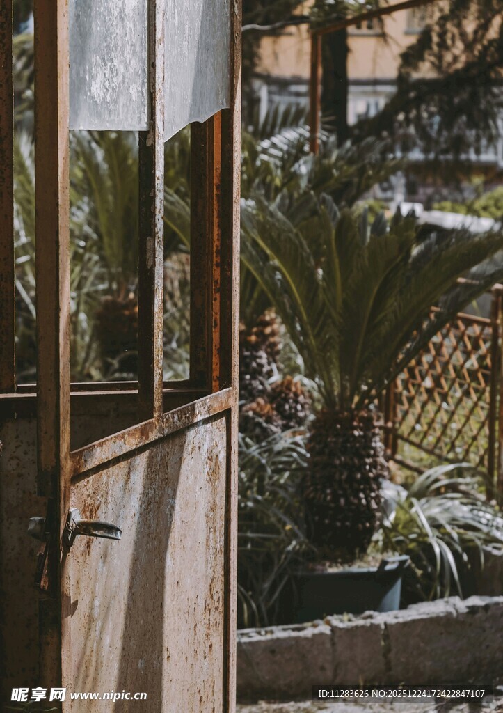 木质阳台外的绿植景致