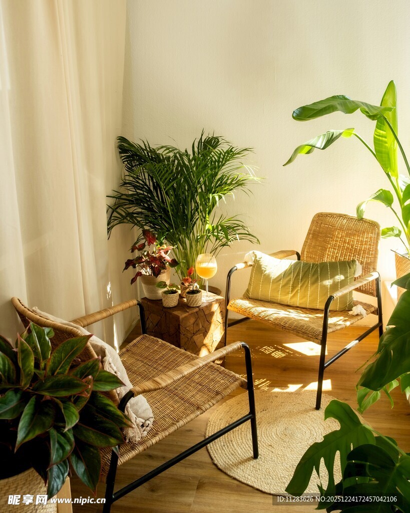 室内绿植环绕的休闲角落