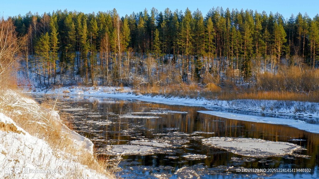 冬日河畔雪景与树林风光