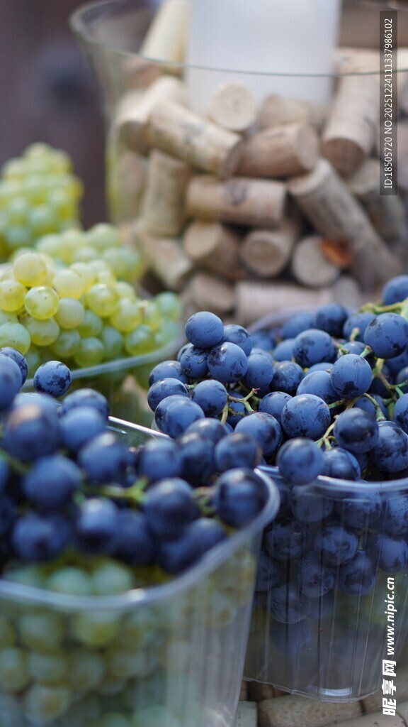 新鲜葡萄与李子水果展示