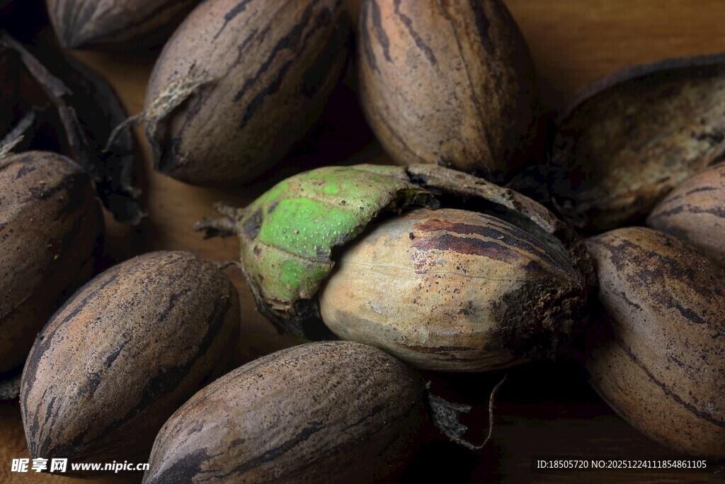 一堆新鲜椰子特写
