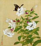 蝶戏花鸟画