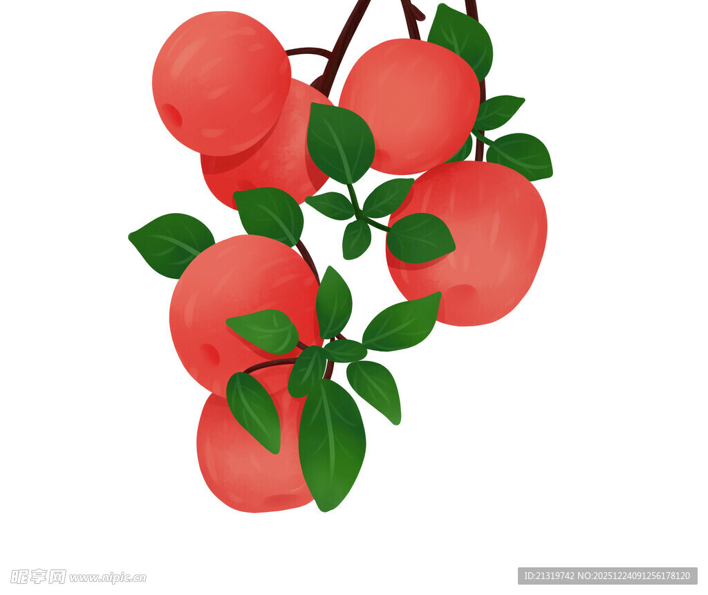 苹果插画素材