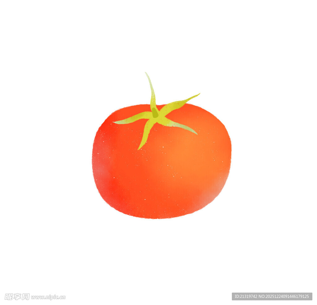 西红柿插画