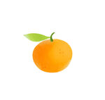 橘子插画