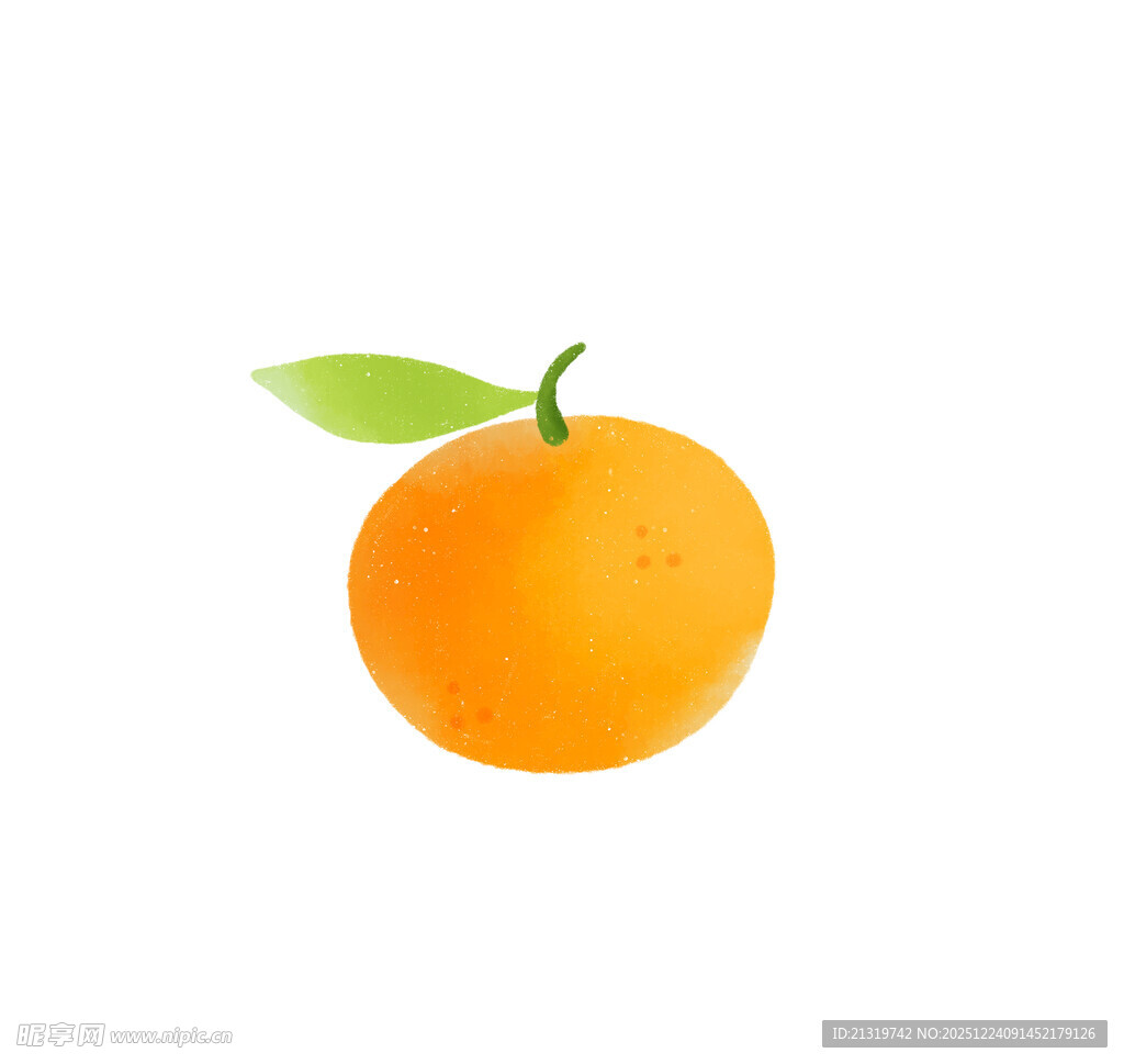 橘子插画