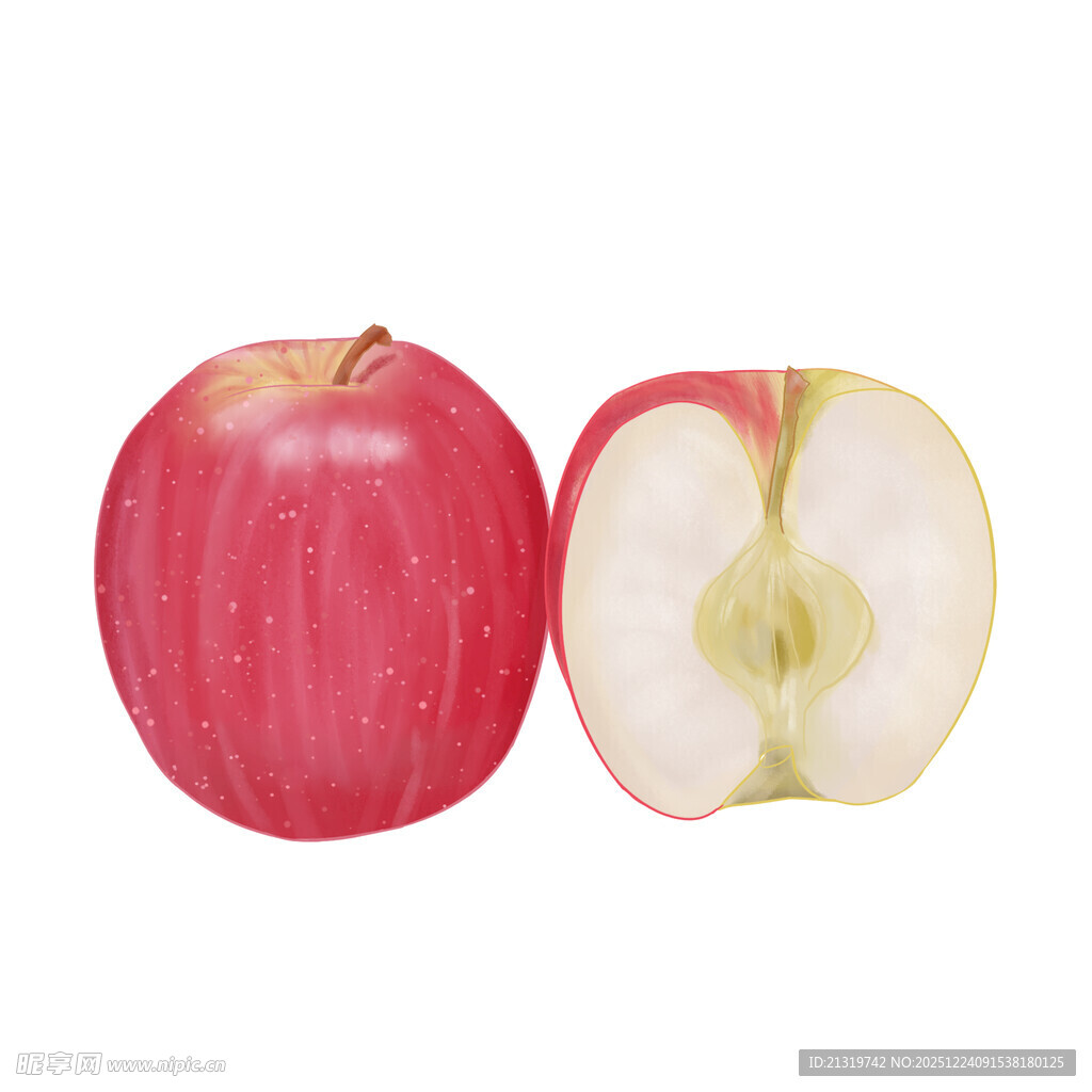 苹果插画