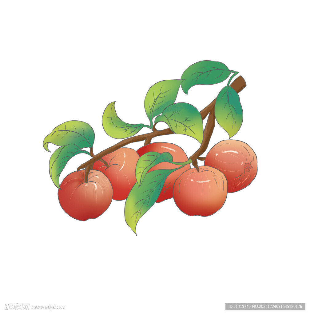 苹果插画
