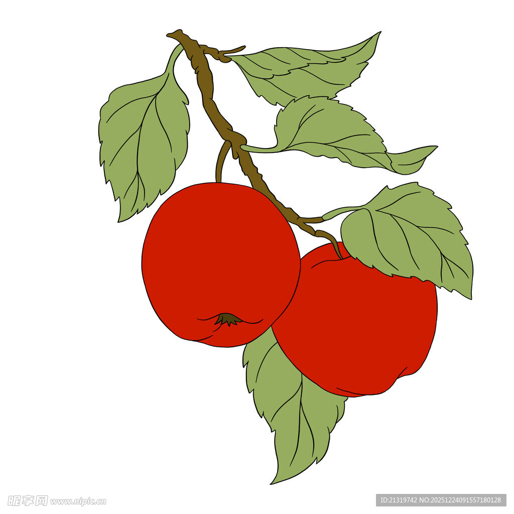 苹果插画