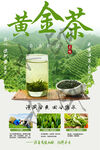 黄金茶