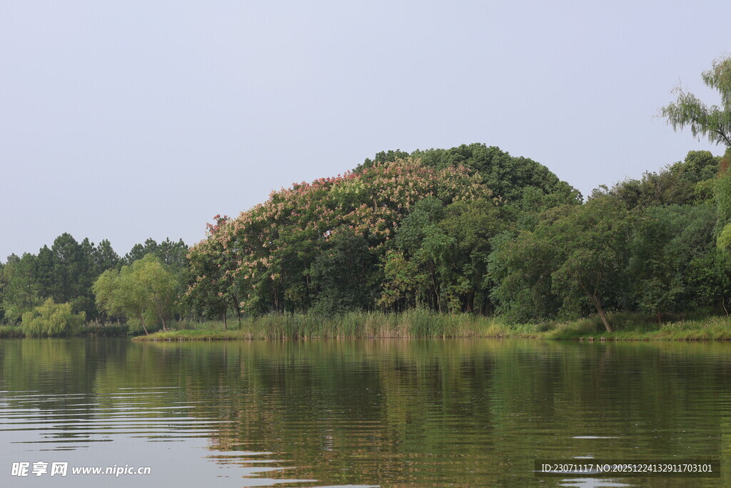 湖畔葱郁山林倒影美景
