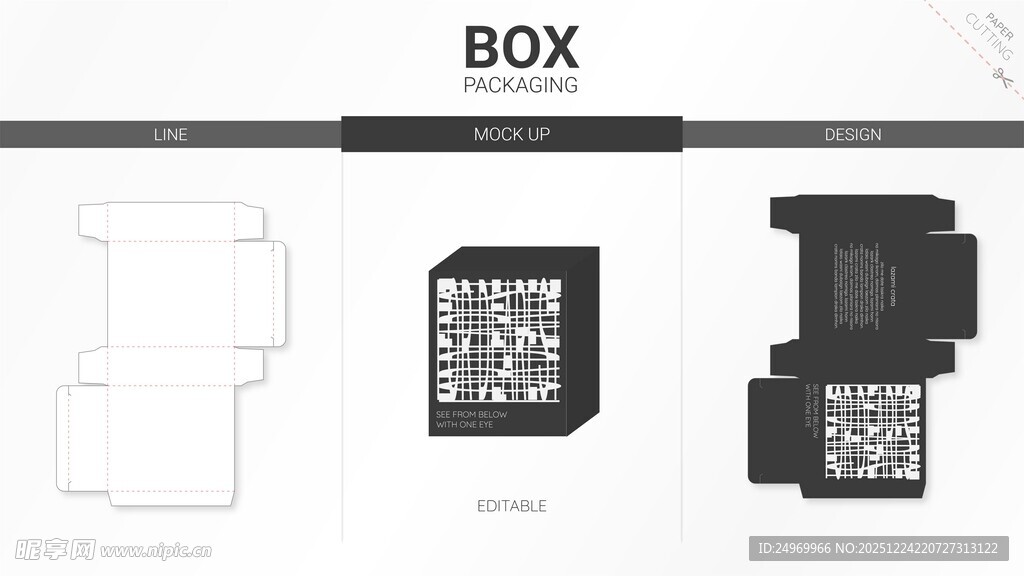 BOX包装盒设计展示图