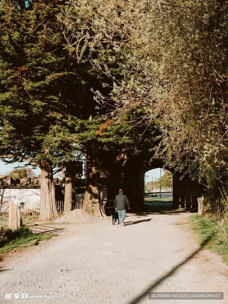 林间小道漫步人