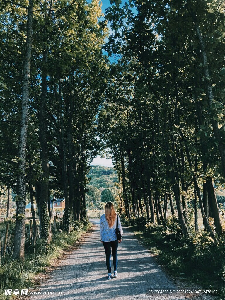 林间小道上的独行者