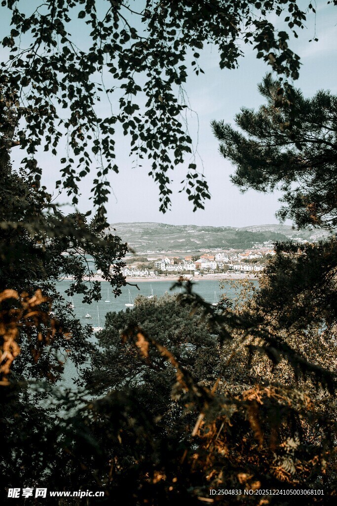 林间远眺湖景风光