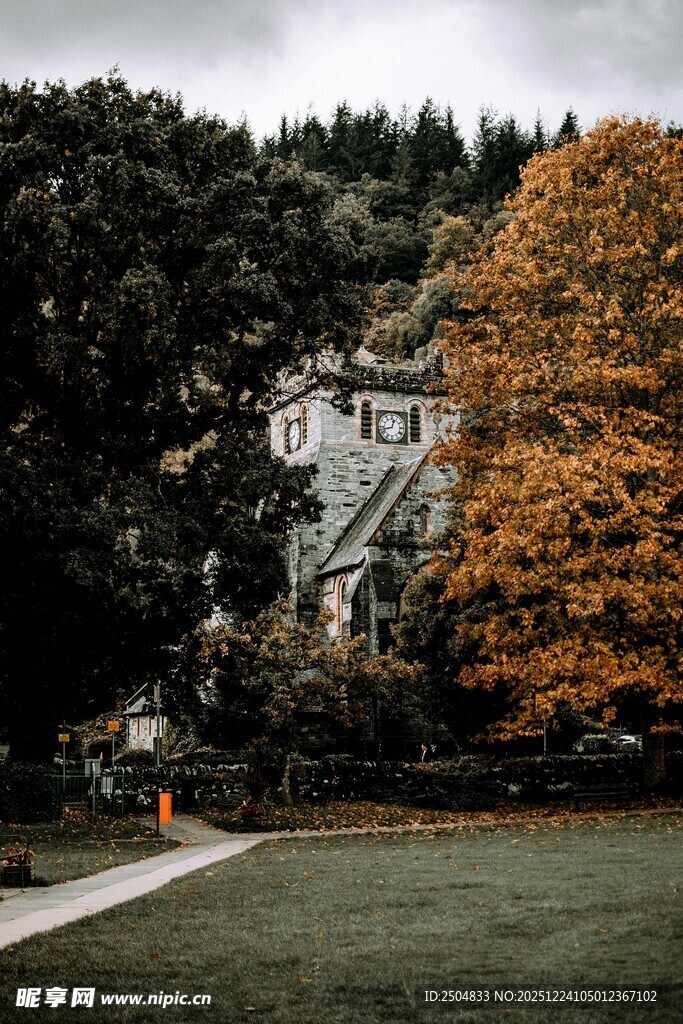 秋日森林中的古朴小屋