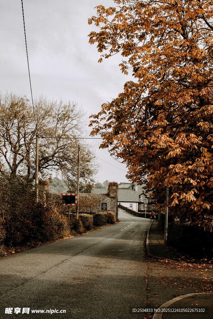 秋日乡村小路风景
