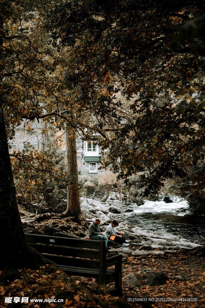 秋日溪边静谧长椅风景