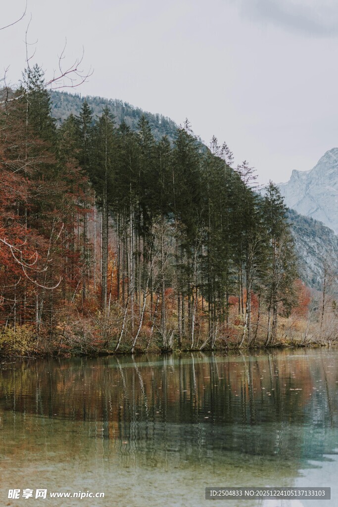 秋日山林旁的静谧湖水
