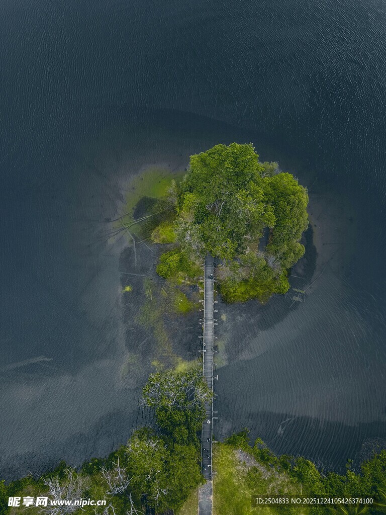 湖心绿岛的静谧自然景致