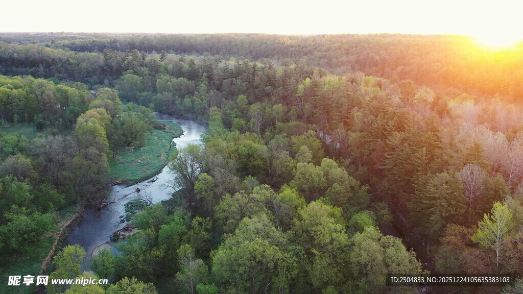 日落时分的森林河流景观