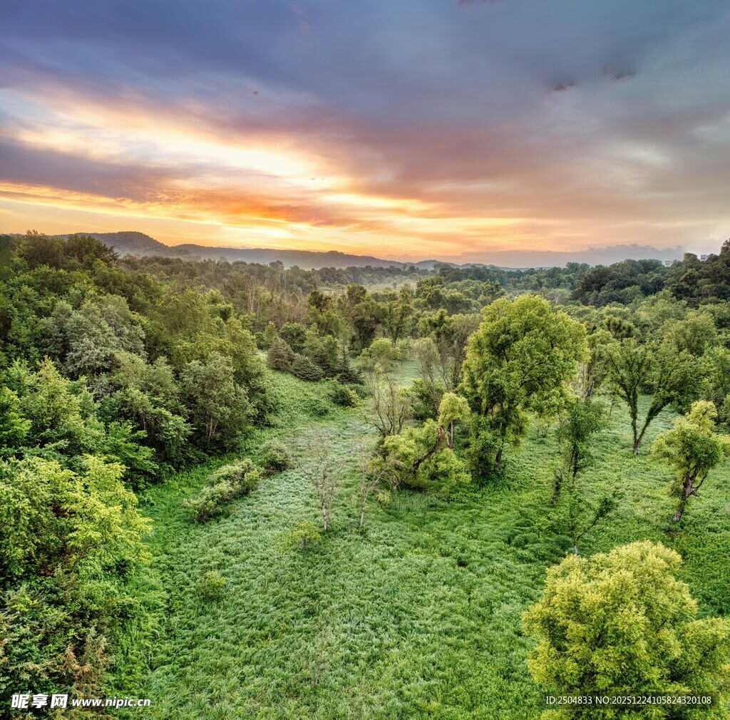 日落时分的绿意盎然田园