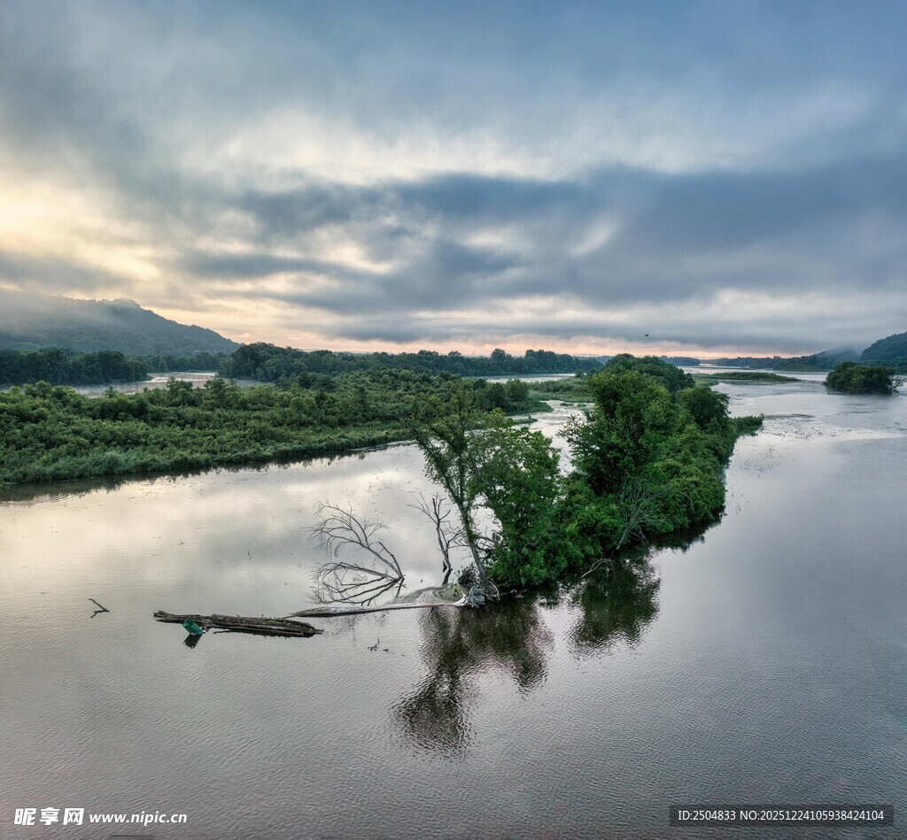 洪水淹没中的树木与孤舟