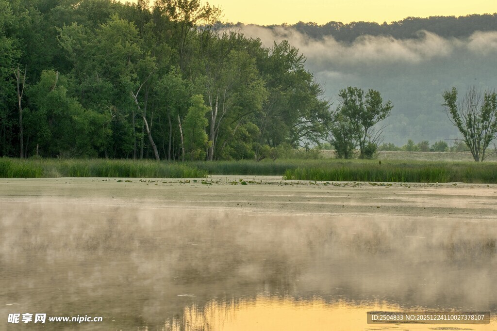 河畔晨光下的宁静自然景观