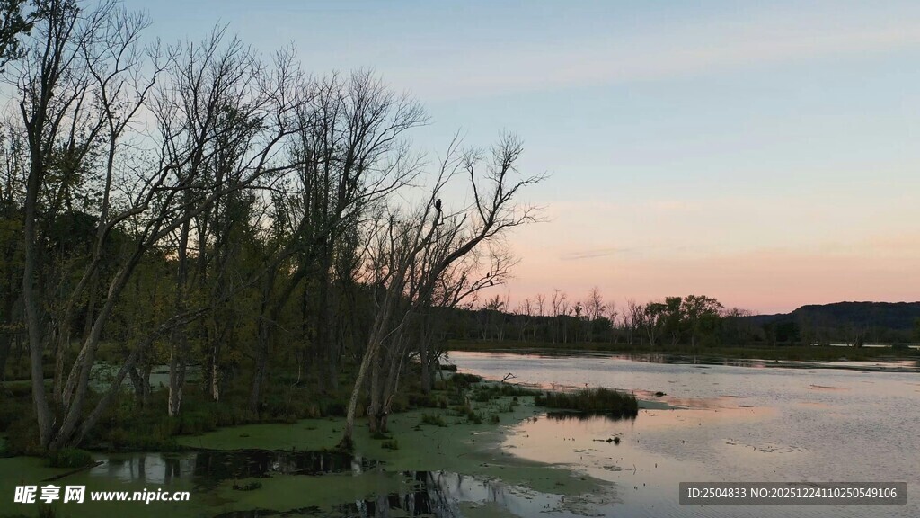 黄昏河畔枯树风景