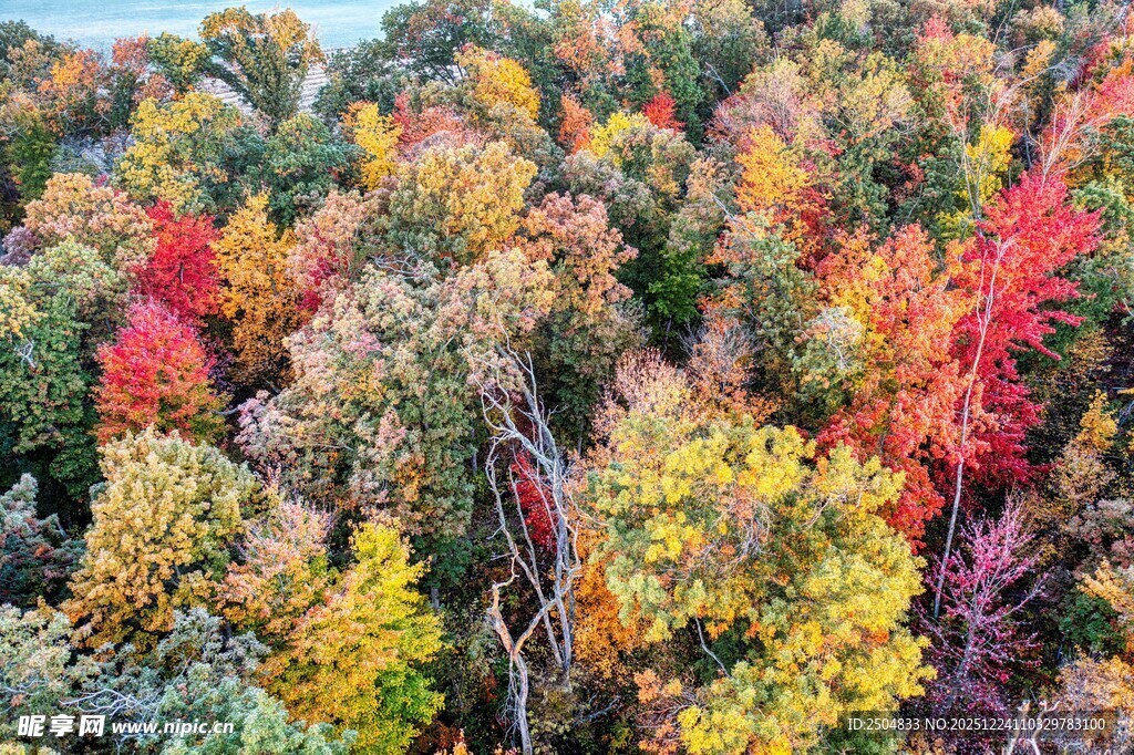 秋日多彩山林美景