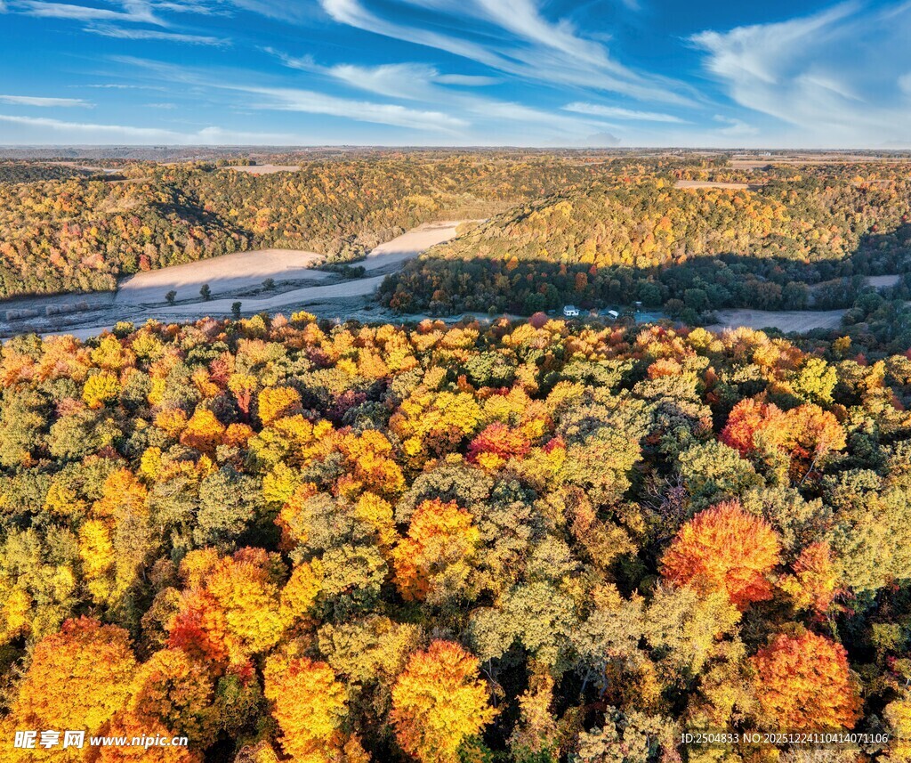 秋日斑斓森林俯瞰美景