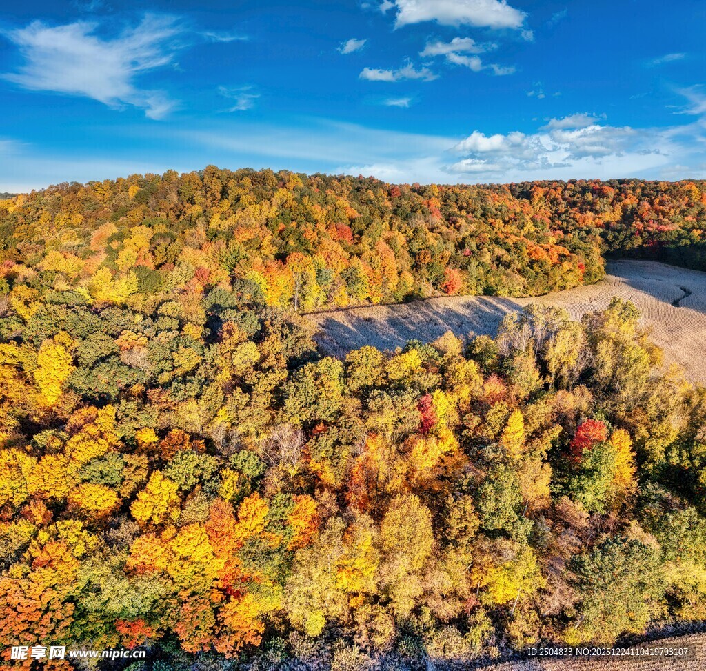 秋日山林斑斓美景