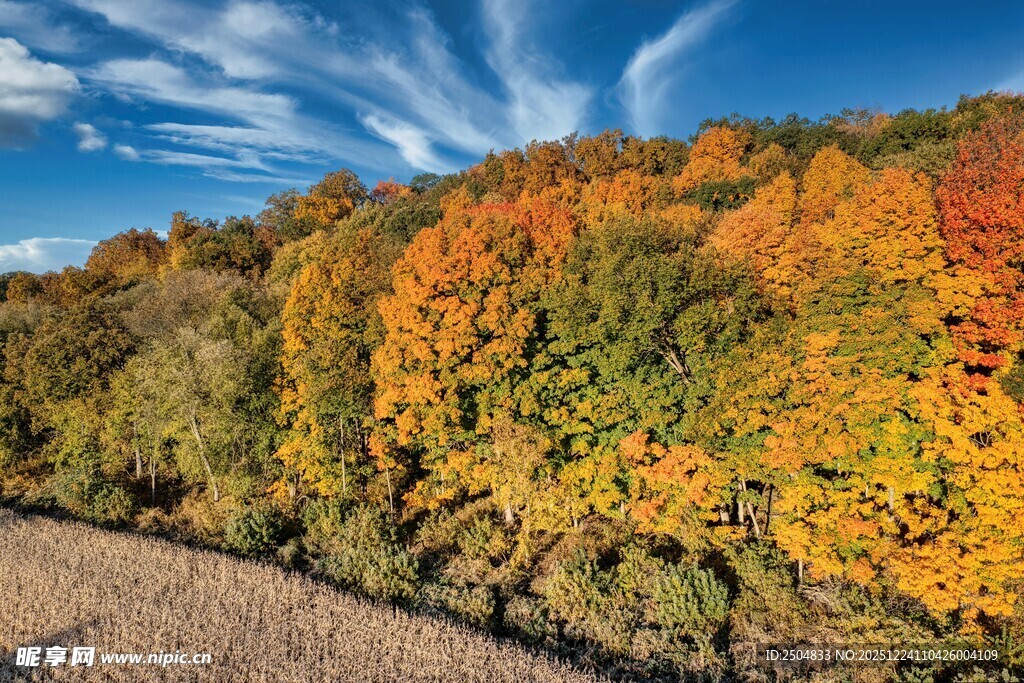 秋日山林斑斓美景
