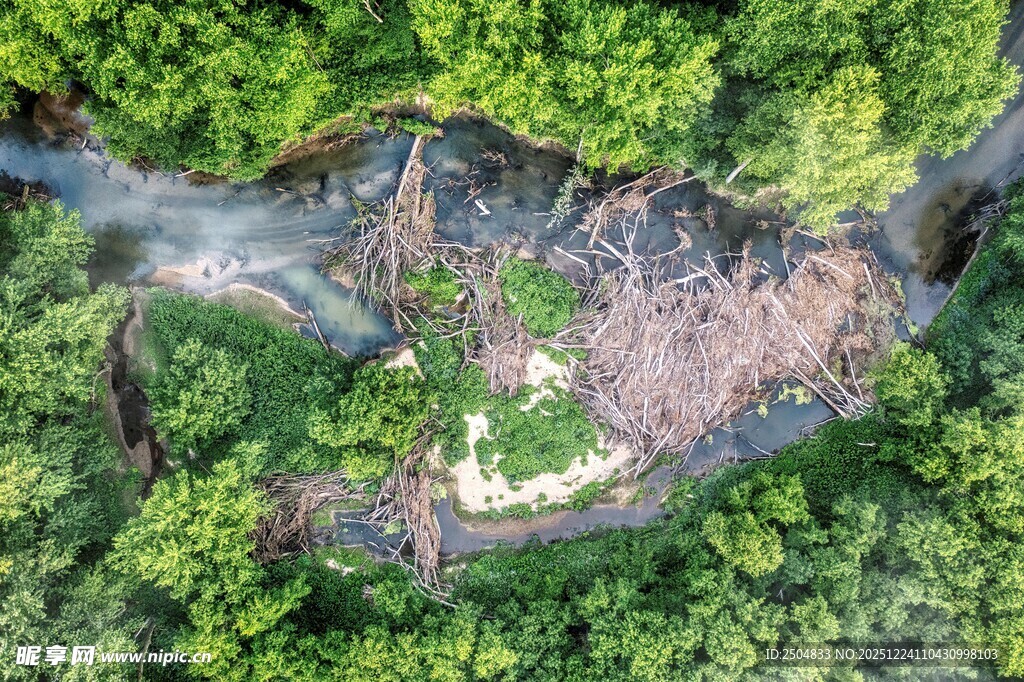 俯瞰绿意盎然的山谷景色