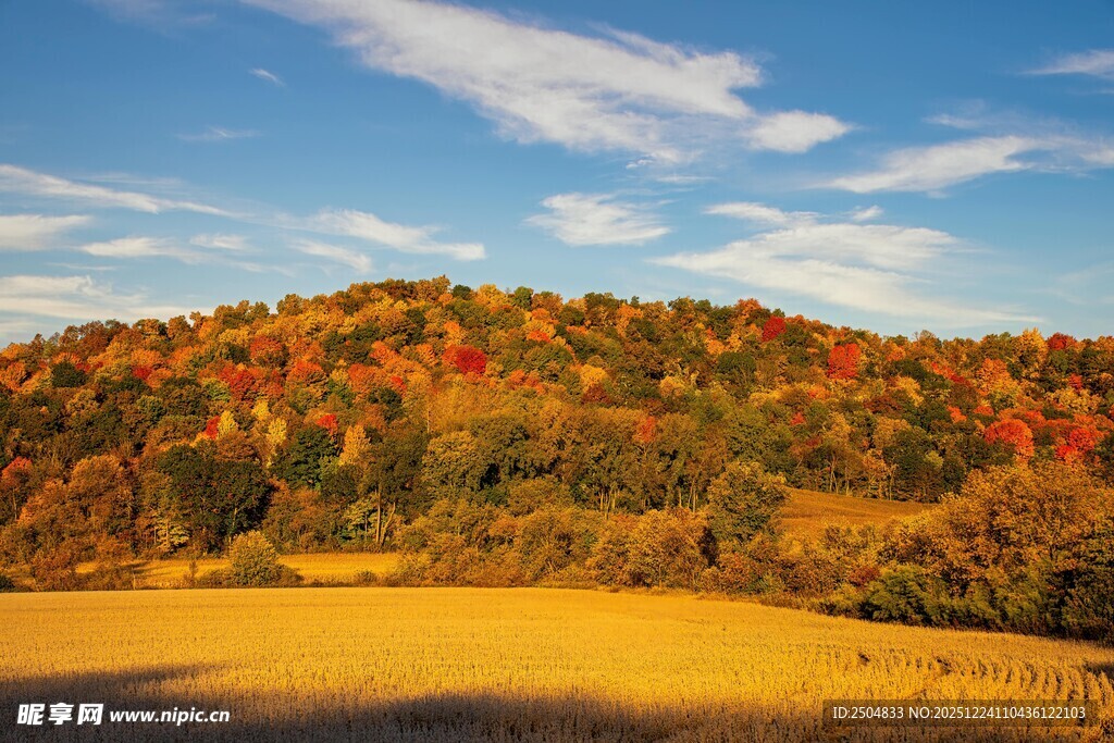 秋日山坡斑斓美景