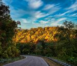 蜿蜒公路旁的绚烂山林