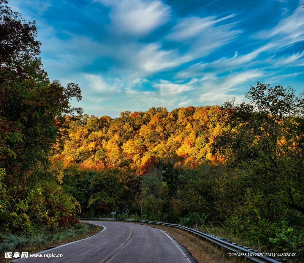 蜿蜒公路旁的绚烂山林