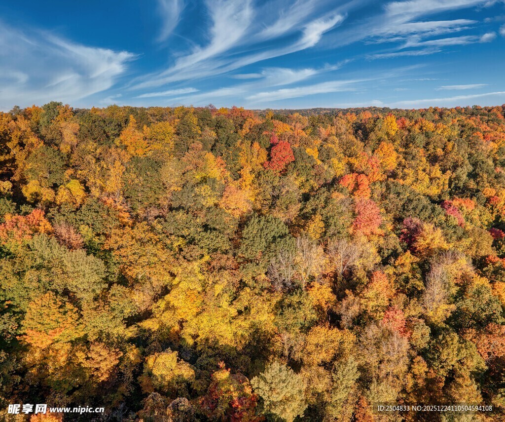 秋日森林斑斓美景