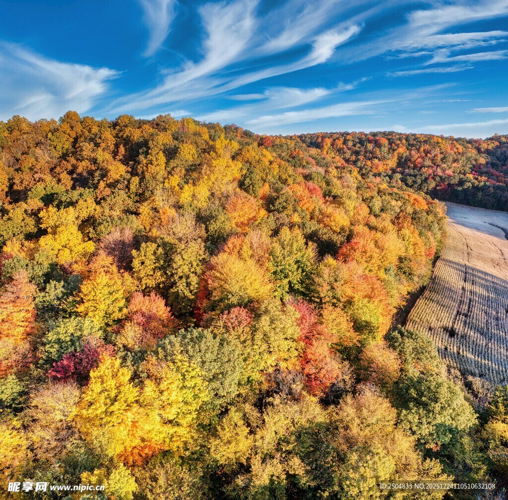 秋日山林绚丽风光